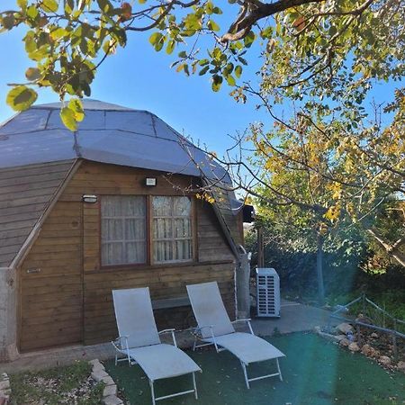 בקתת עץ בחורש במנות - דום גיאודזי - Wooden Cabin In Manot 외부 사진