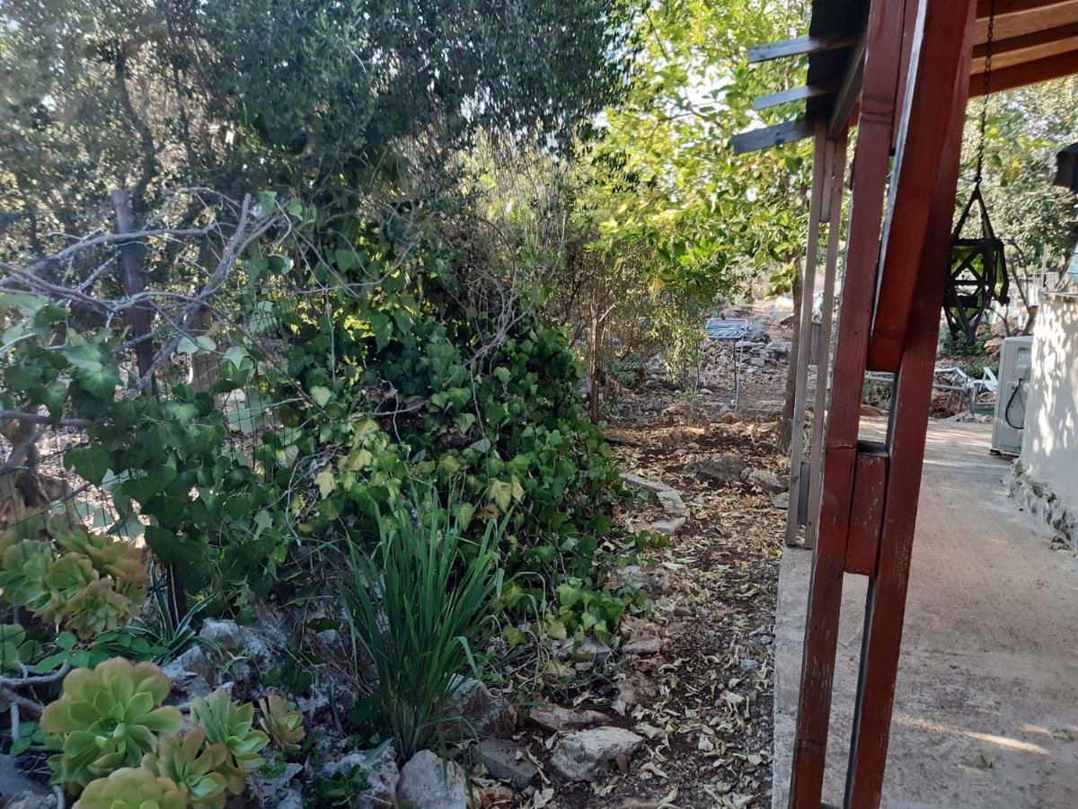 בקתת עץ בחורש במנות - דום גיאודזי - Wooden Cabin In Manot 외부 사진
