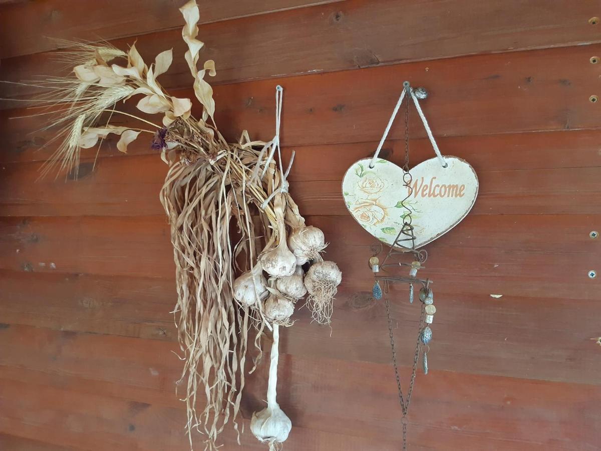 בקתת עץ בחורש במנות - דום גיאודזי - Wooden Cabin In Manot 외부 사진