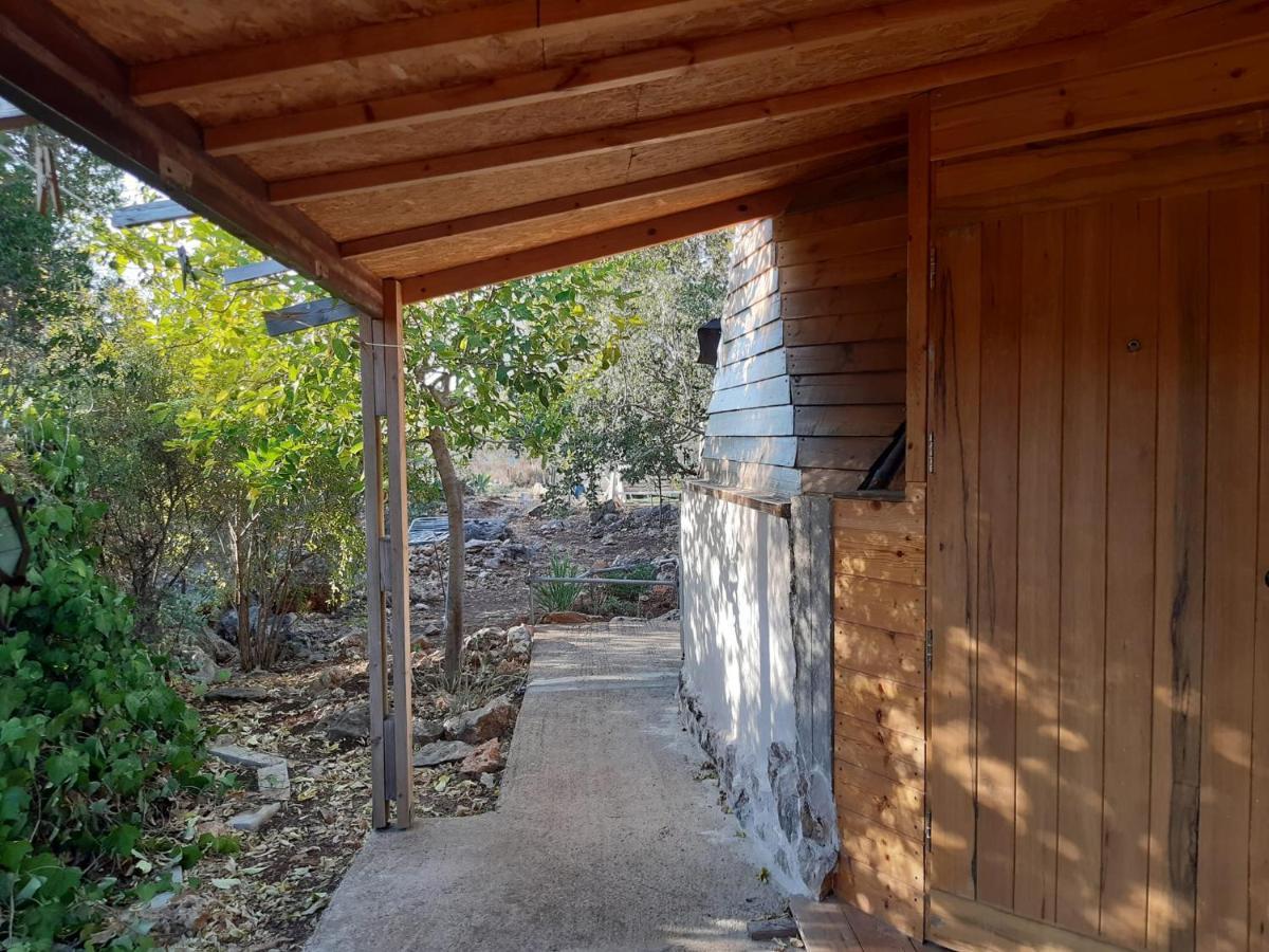 בקתת עץ בחורש במנות - דום גיאודזי - Wooden Cabin In Manot 외부 사진