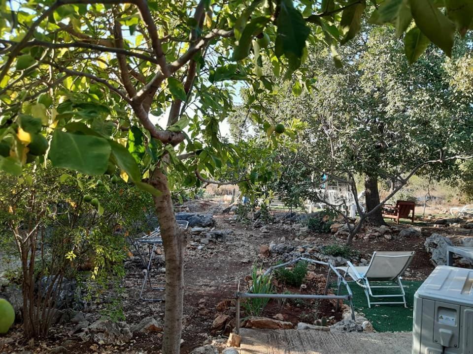 בקתת עץ בחורש במנות - דום גיאודזי - Wooden Cabin In Manot 외부 사진