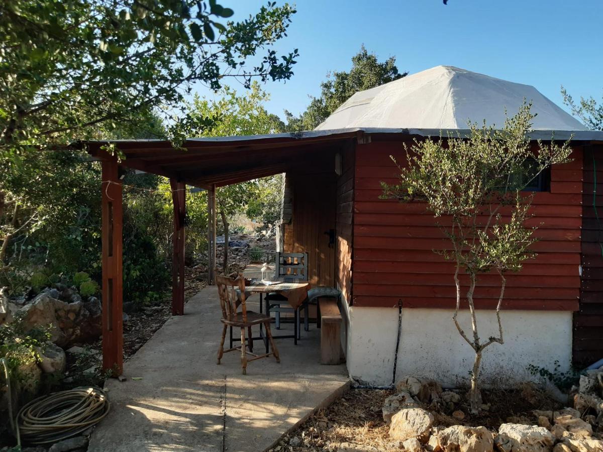 בקתת עץ בחורש במנות - דום גיאודזי - Wooden Cabin In Manot 외부 사진