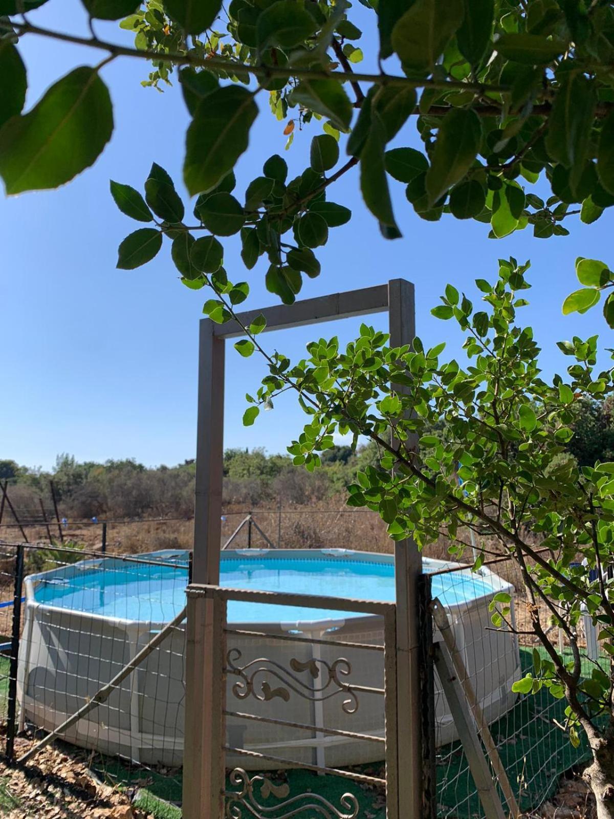 בקתת עץ בחורש במנות - דום גיאודזי - Wooden Cabin In Manot 외부 사진