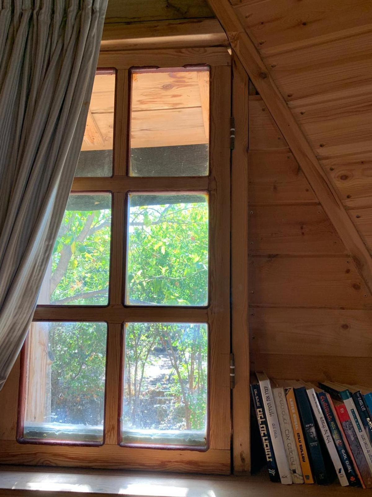 בקתת עץ בחורש במנות - דום גיאודזי - Wooden Cabin In Manot 외부 사진